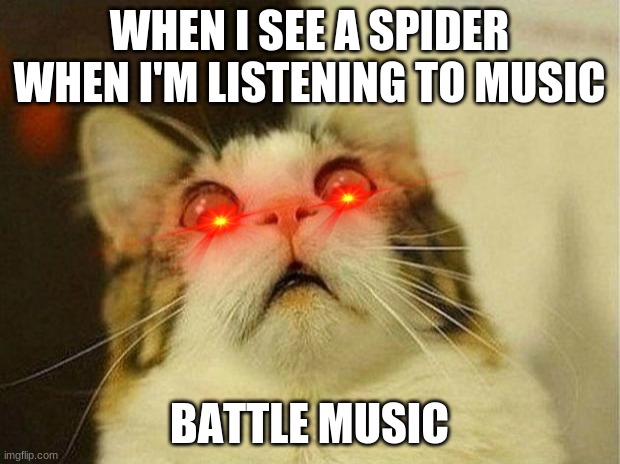 Scared Cat Meme | WHEN I SEE A SPIDER WHEN I'M LISTENING TO MUSIC; BATTLE MUSIC | image tagged in memes,scared cat | made w/ Imgflip meme maker