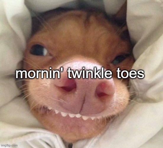 good morning | mornin' twinkle toes | image tagged in good morning | made w/ Imgflip meme maker