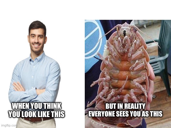 What you really look like | BUT IN REALITY EVERYONE SEES YOU AS THIS; WHEN YOU THINK YOU LOOK LIKE THIS | image tagged in funny | made w/ Imgflip meme maker