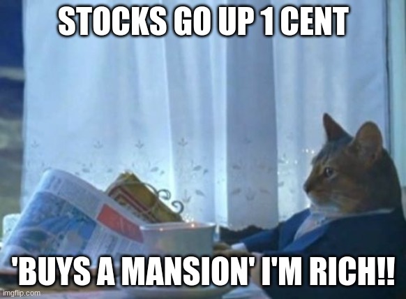 I Should Buy A Boat Cat | STOCKS GO UP 1 CENT; 'BUYS A MANSION' I'M RICH!! | image tagged in memes,i should buy a boat cat | made w/ Imgflip meme maker