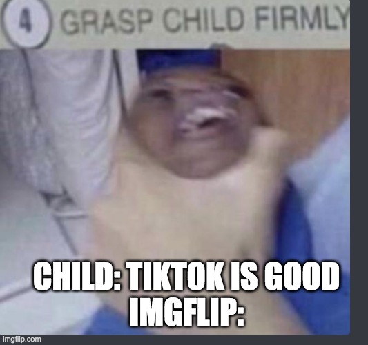 Grasp child firmly | CHILD: TIKTOK IS GOOD
IMGFLIP: | image tagged in grasp child firmly | made w/ Imgflip meme maker