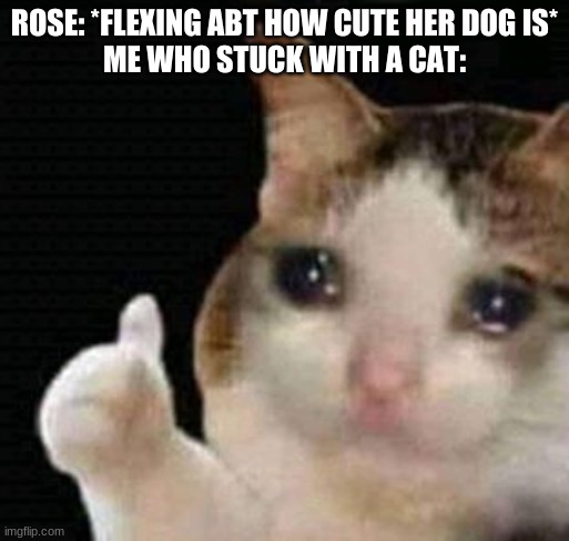 THE CRUELTY ;0; | ROSE: *FLEXING ABT HOW CUTE HER DOG IS*
ME WHO STUCK WITH A CAT: | image tagged in sad thumbs up cat | made w/ Imgflip meme maker