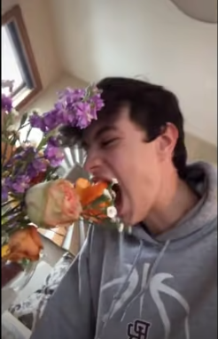 High Quality eating flowers Blank Meme Template