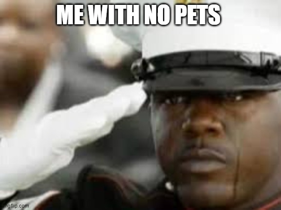 Sad salute | ME WITH NO PETS | image tagged in sad salute | made w/ Imgflip meme maker