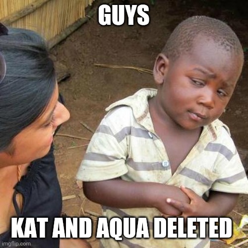 Third World Skeptical Kid Meme | GUYS; KAT AND AQUA DELETED | image tagged in memes,third world skeptical kid | made w/ Imgflip meme maker
