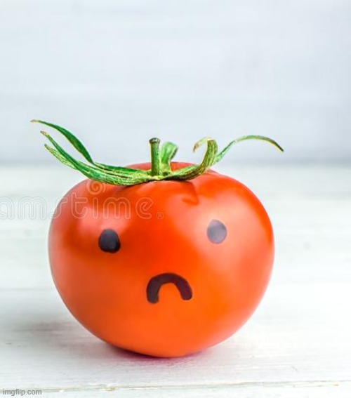 Sad tomato | image tagged in sad tomato | made w/ Imgflip meme maker