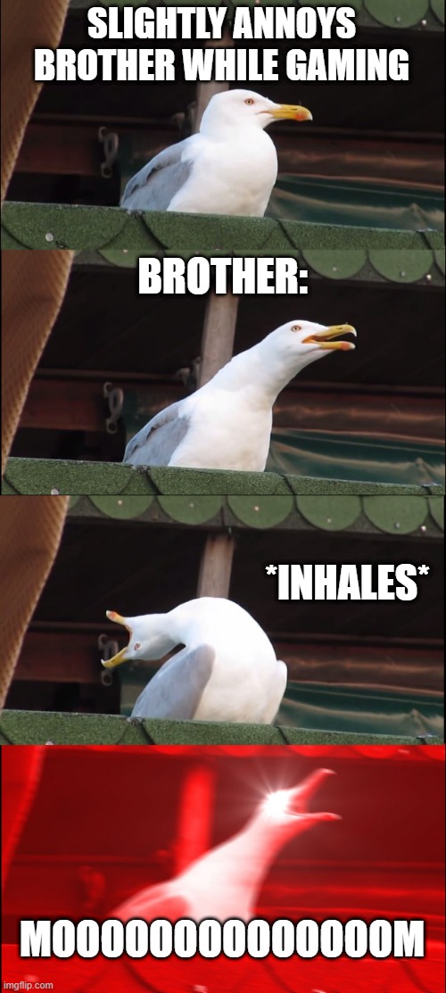 Inhaling Seagull | SLIGHTLY ANNOYS BROTHER WHILE GAMING; BROTHER:; *INHALES*; MOOOOOOOOOOOOOOM | image tagged in memes,inhaling seagull | made w/ Imgflip meme maker