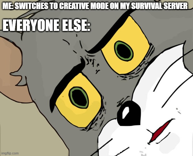 Unsettled Tom Meme | ME: SWITCHES TO CREATIVE MODE ON MY SURVIVAL SERVER; EVERYONE ELSE: | image tagged in memes,unsettled tom | made w/ Imgflip meme maker