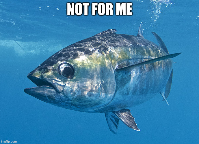 Tuna fish | NOT FOR ME | image tagged in tuna fish | made w/ Imgflip meme maker