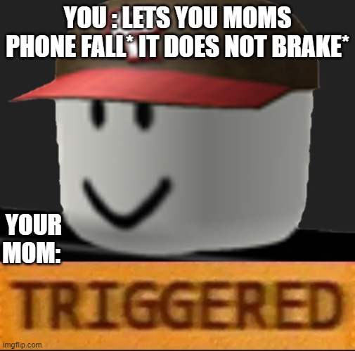 Roblox Triggered | YOU : LETS YOU MOMS PHONE FALL* IT DOES NOT BRAKE*; YOUR MOM: | image tagged in roblox triggered | made w/ Imgflip meme maker
