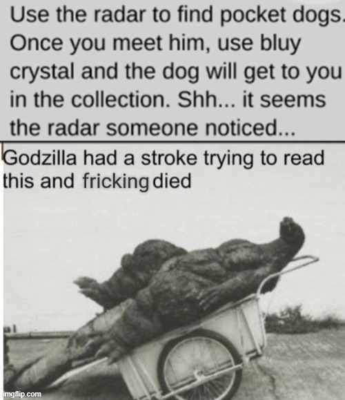 ....? | image tagged in godzilla had a stroke trying to read this and fricking died | made w/ Imgflip meme maker