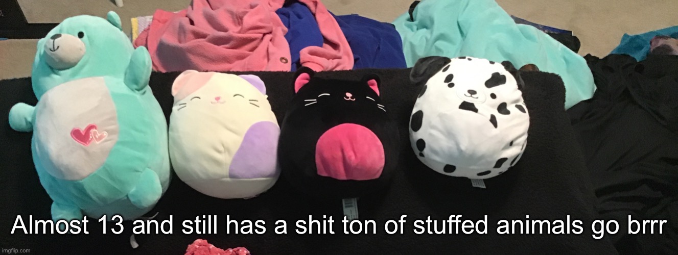 Almost 13 and still has a shit ton of stuffed animals go brrr | made w/ Imgflip meme maker