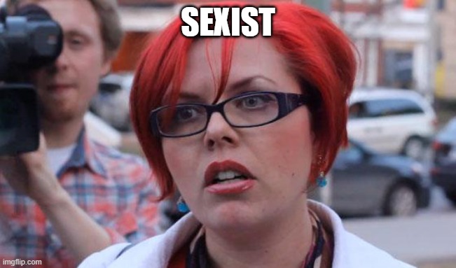 Angry Feminist | SEXIST | image tagged in angry feminist | made w/ Imgflip meme maker