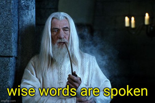 Wise words are spoken  | wise words are spoken | image tagged in wise words are spoken | made w/ Imgflip meme maker