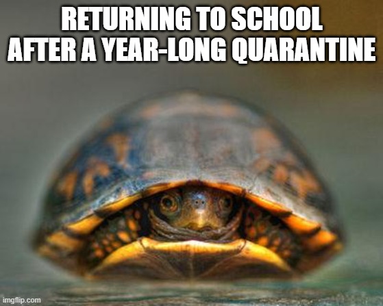 Return to School After Quarantine | RETURNING TO SCHOOL AFTER A YEAR-LONG QUARANTINE | image tagged in introverts | made w/ Imgflip meme maker