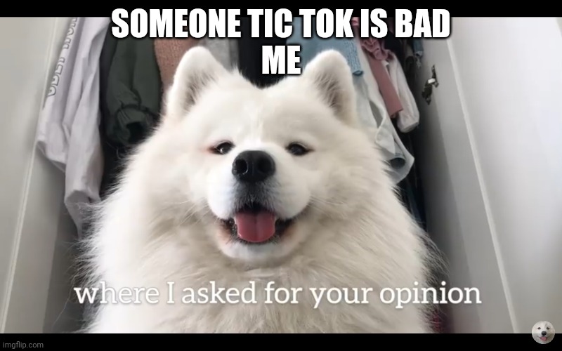 Doggo who asked | SOMEONE TIC TOK IS BAD
ME | image tagged in doggo who asked | made w/ Imgflip meme maker