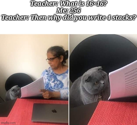 Teacher: What is 16×16?
Me: 256
Teacher: Then why did you write 4 stacks? | image tagged in woman showing paper to cat,stack,minecraft,school | made w/ Imgflip meme maker