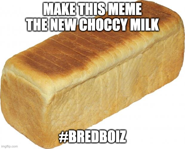 Breadddd | MAKE THIS MEME THE NEW CHOCCY MILK; #BREDBOIZ | image tagged in breadddd | made w/ Imgflip meme maker