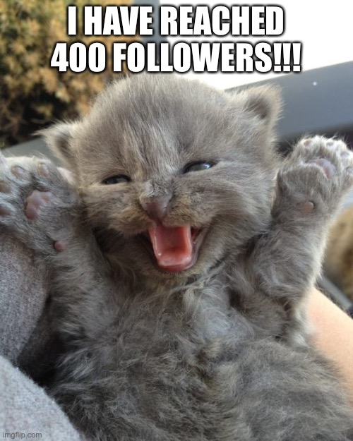 It happened last night lol
thx 2 u all | I HAVE REACHED 400 FOLLOWERS!!! | image tagged in yay kitty,imgflip,followers | made w/ Imgflip meme maker