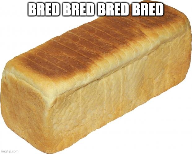 Breadddd | BRED BRED BRED BRED | image tagged in breadddd | made w/ Imgflip meme maker