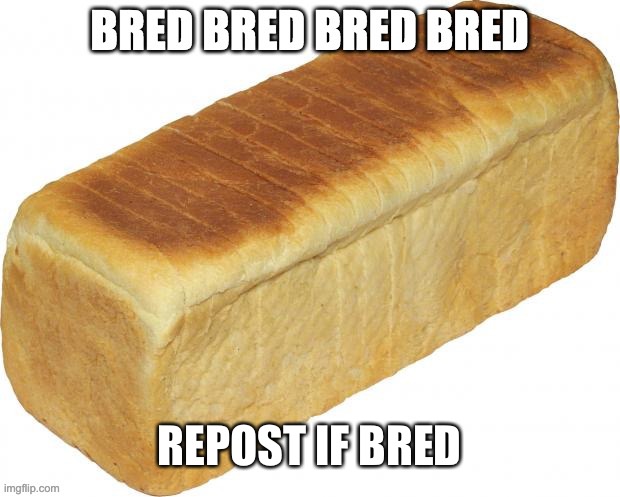 E | REPOST IF BRED | made w/ Imgflip meme maker