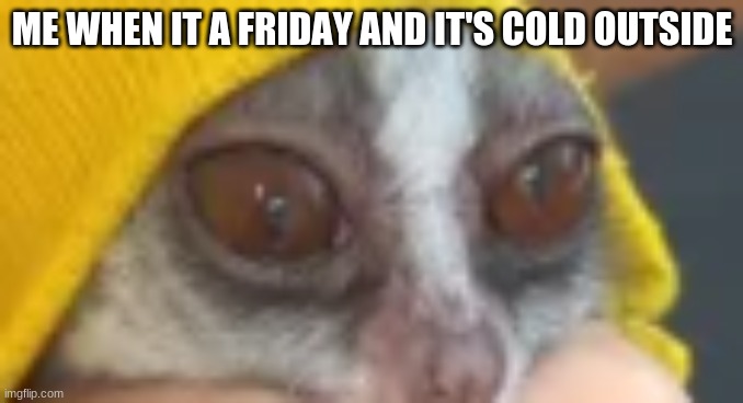 ME WHEN IT A FRIDAY AND IT'S COLD OUTSIDE | image tagged in meme | made w/ Imgflip meme maker