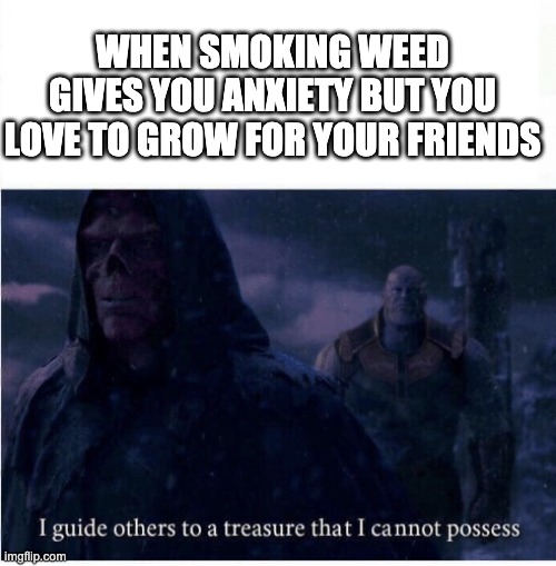 I guide others to a treasure I cannot possess | WHEN SMOKING WEED GIVES YOU ANXIETY BUT YOU LOVE TO GROW FOR YOUR FRIENDS | image tagged in i guide others to a treasure i cannot possess,trees | made w/ Imgflip meme maker
