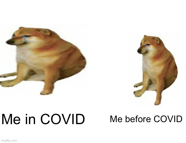 LIFE | Me in COVID; Me before COVID | image tagged in doge | made w/ Imgflip meme maker