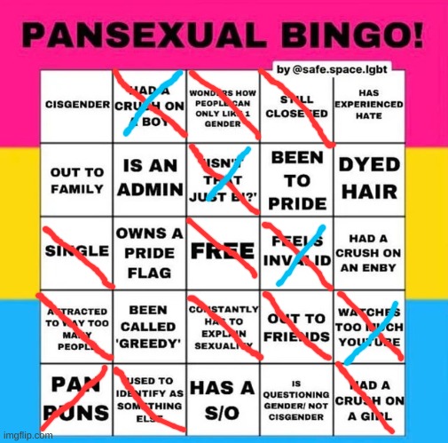 Bingooooo | image tagged in pansexual bingo | made w/ Imgflip meme maker
