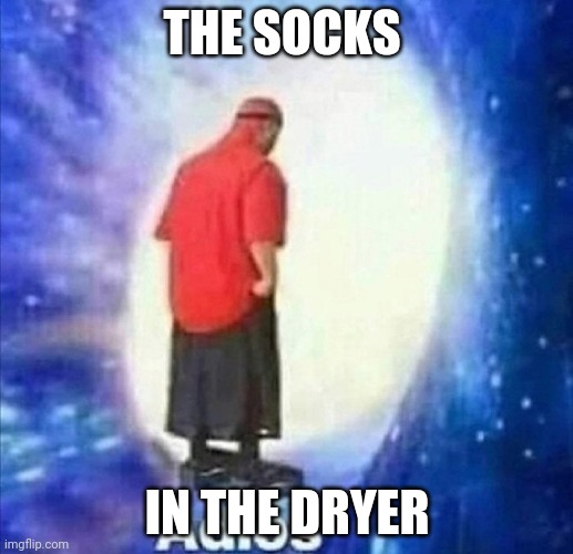 Whoa that is reputable | THE SOCKS; IN THE DRYER | image tagged in adios,relatable | made w/ Imgflip meme maker