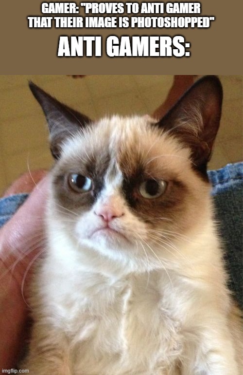 Grumpy Cat | GAMER: "PROVES TO ANTI GAMER THAT THEIR IMAGE IS PHOTOSHOPPED"; ANTI GAMERS: | image tagged in memes,grumpy cat | made w/ Imgflip meme maker