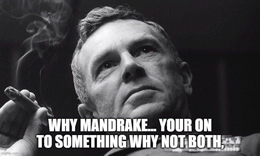 WHY MANDRAKE... YOUR ON TO SOMETHING WHY NOT BOTH, | made w/ Imgflip meme maker