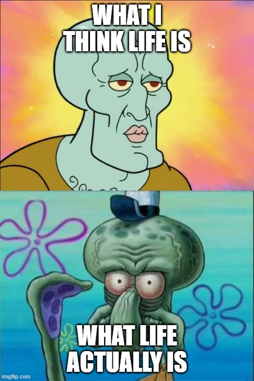 Life is actually like this bruh | WHAT I THINK LIFE IS; WHAT LIFE ACTUALLY IS | image tagged in memes,squidward,life | made w/ Imgflip meme maker