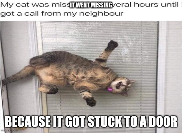 Cat stuck to the door | IT WENT MISSING; BECAUSE IT GOT STUCK TO A DOOR | image tagged in funny because it's true | made w/ Imgflip meme maker