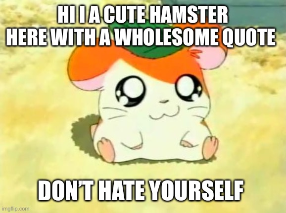 Hamtaro Meme | HI I A CUTE HAMSTER HERE WITH A WHOLESOME QUOTE; DON’T HATE YOURSELF | image tagged in memes,hamtaro | made w/ Imgflip meme maker