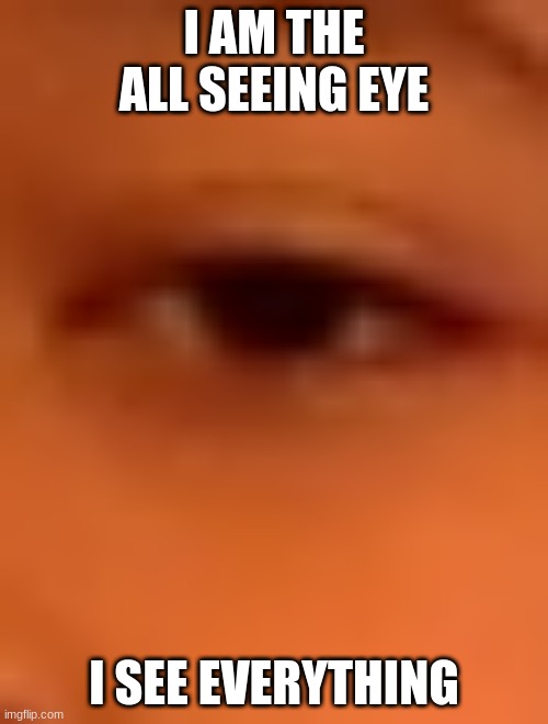 The all seeing eye | I AM THE ALL SEEING EYE; I SEE EVERYTHING | image tagged in my friends eye | made w/ Imgflip meme maker