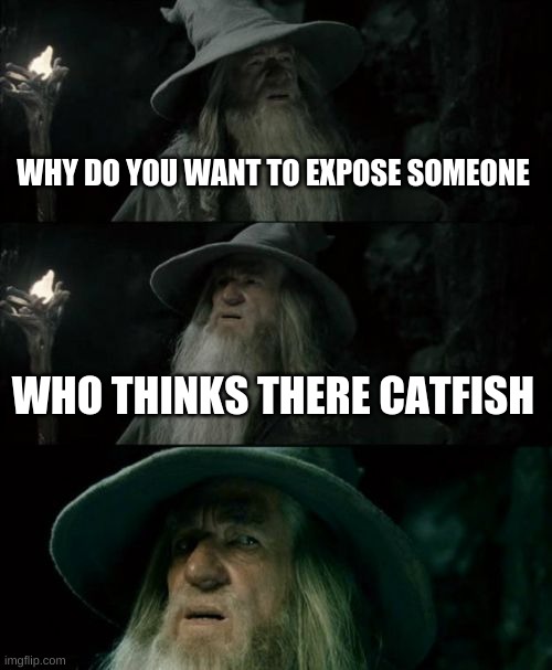 Confused Gandalf Meme | WHY DO YOU WANT TO EXPOSE SOMEONE WHO THINKS THERE CATFISH | image tagged in memes,confused gandalf | made w/ Imgflip meme maker