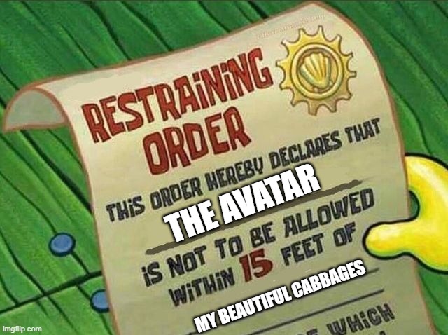 Restraining Order | THE AVATAR; MY BEAUTIFUL CABBAGES | image tagged in restraining order | made w/ Imgflip meme maker