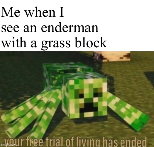 It’s rare, ok? | Me when I see an enderman with a grass block | image tagged in blank white template,your free trial of living has ended | made w/ Imgflip meme maker