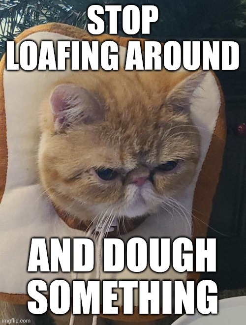 Vivi is toast | STOP
LOAFING AROUND; AND DOUGH
SOMETHING | image tagged in you're toast | made w/ Imgflip meme maker