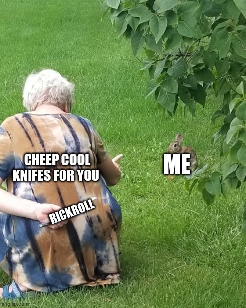 grandma hiding knife rabbit | CHEEP COOL KNIFES FOR YOU; ME; RICKROLL | image tagged in grandma hiding knife rabbit | made w/ Imgflip meme maker