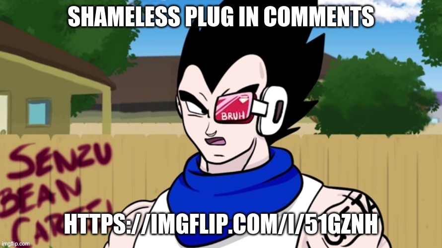 Vegeta Bruh | SHAMELESS PLUG IN COMMENTS; HTTPS://IMGFLIP.COM/I/51GZNH | image tagged in vegeta bruh | made w/ Imgflip meme maker