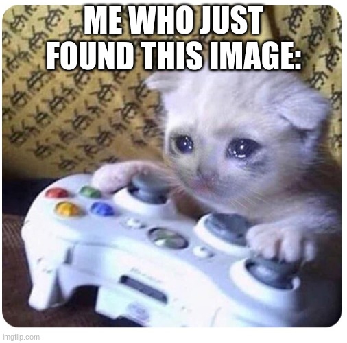 Sad cat Xbox | ME WHO JUST FOUND THIS IMAGE: | image tagged in sad cat xbox | made w/ Imgflip meme maker