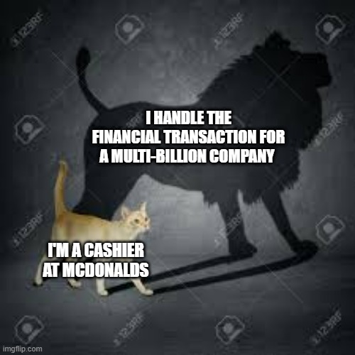 cat with lion sadow | I HANDLE THE FINANCIAL TRANSACTION FOR A MULTI-BILLION COMPANY; I'M A CASHIER AT MCDONALDS | image tagged in cat with lion sadow | made w/ Imgflip meme maker