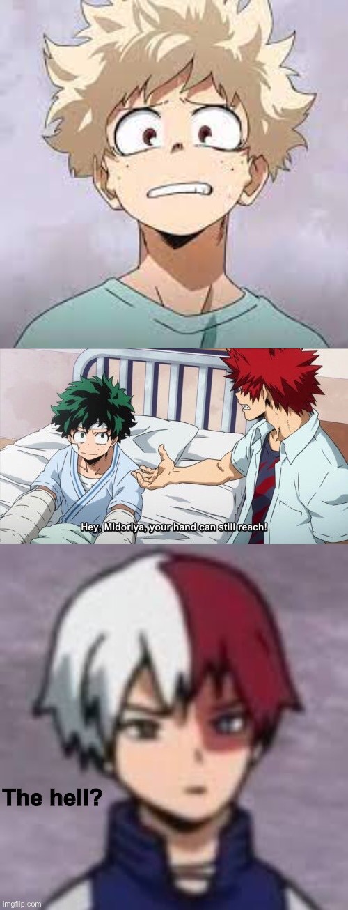 Shoto did not approve | image tagged in shoto the hell | made w/ Imgflip meme maker