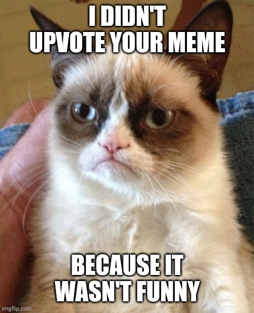 Grumpy cat is hard to please | I DIDN'T UPVOTE YOUR MEME; BECAUSE IT WASN'T FUNNY | image tagged in memes,grumpy cat | made w/ Imgflip meme maker