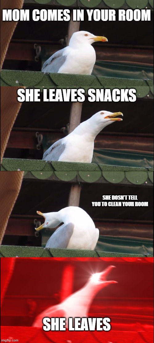 Inhaling Seagull | MOM COMES IN YOUR ROOM; SHE LEAVES SNACKS; SHE DOSN'T TELL YOU TO CLEAN YOUR ROOM; SHE LEAVES | image tagged in memes,inhaling seagull | made w/ Imgflip meme maker
