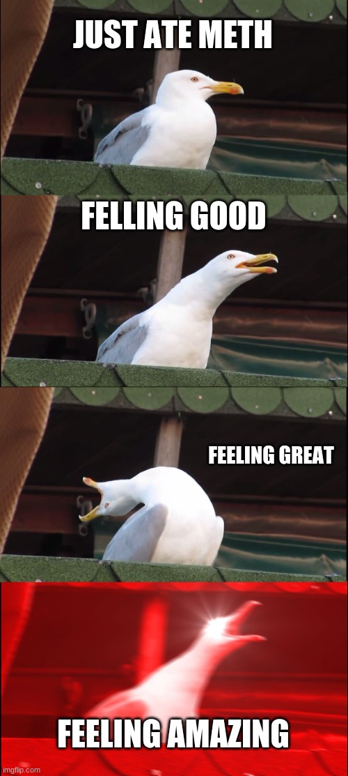 Inhaling Seagull | JUST ATE METH; FELLING GOOD; FEELING GREAT; FEELING AMAZING | image tagged in memes,inhaling seagull | made w/ Imgflip meme maker
