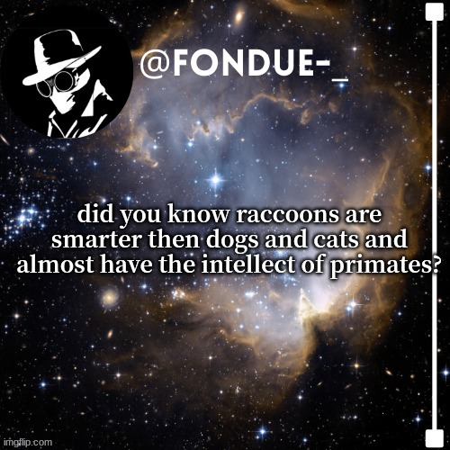 did you know raccoons are smarter then dogs and cats and almost have the intellect of primates? | image tagged in questions,fondue template 4 | made w/ Imgflip meme maker