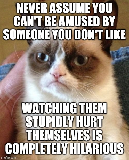 Why are some ppl like this? | NEVER ASSUME YOU CAN'T BE AMUSED BY SOMEONE YOU DON'T LIKE; WATCHING THEM STUPIDLY HURT THEMSELVES IS COMPLETELY HILARIOUS | image tagged in grumpy cat,dark humor,roll safe think about it,cats,mean | made w/ Imgflip meme maker